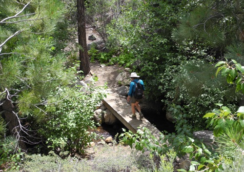 Bridge across Brown's Creek on the Brown's Creek Trail, Reno, Nevada, NV