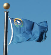 Nevada state flag