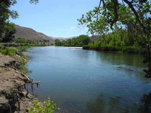 McCarran Ranch Preserve, Truckee River, Nature Conservancy, Nevada