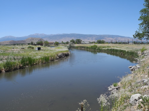 Rosewood Nature Study Area, Reno, Nevada, NV