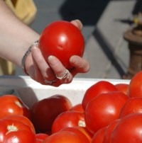 Nevada grown produce and other food