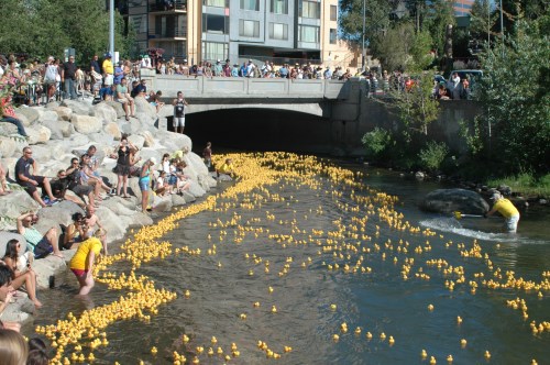 Nevada Humane Society Duck Race and Festival, NV