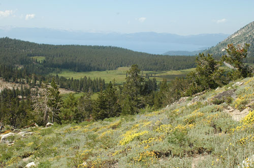 Views from the Mt. Rose summit Trail, Nevada