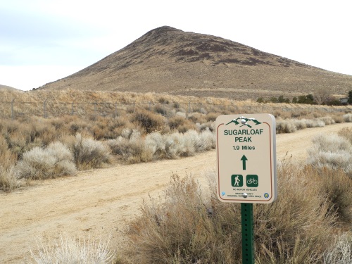 Trail on the way to Sugarloaf Peak, Sparks / Spanish Springs, Nevada, NV