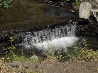 Thomas Creek, Reno, Nevada, NV