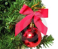 Christmas,events,season,activities,Reno,Nevada,NV