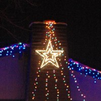 Christmas,trees,cutting,permits,national,forests,BLM,Nevada,California,NV,CA