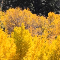Washoe,County,School,District,schools,fall,break,Reno,Nevada,NV
